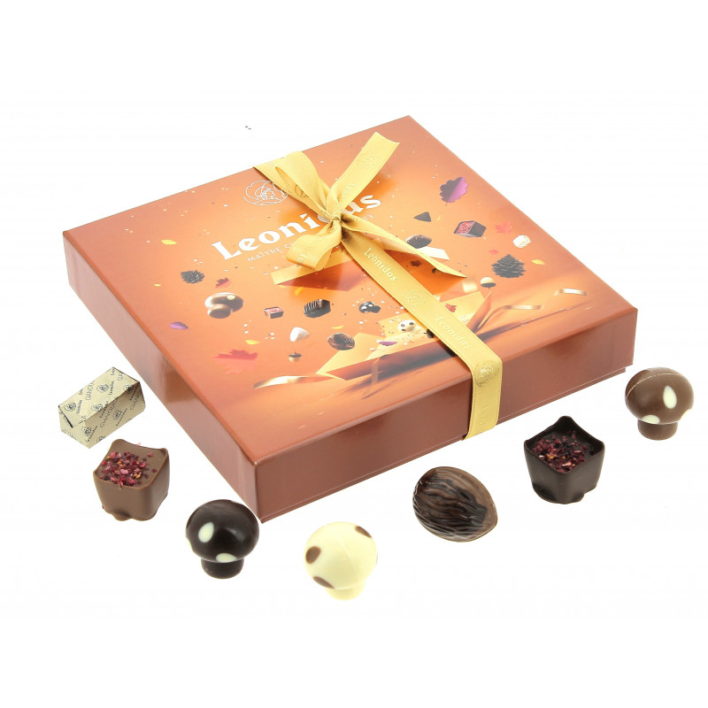 Coffret Automne garni de 290 g de Chocolats Leonidas